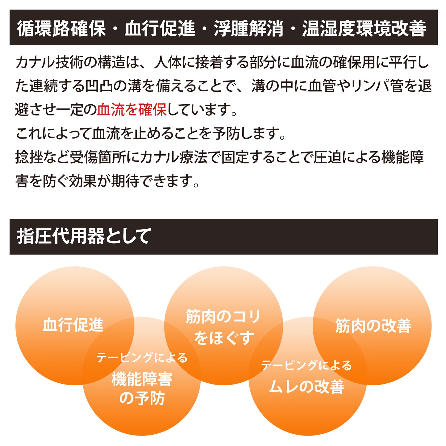 カナルソフトシーネ