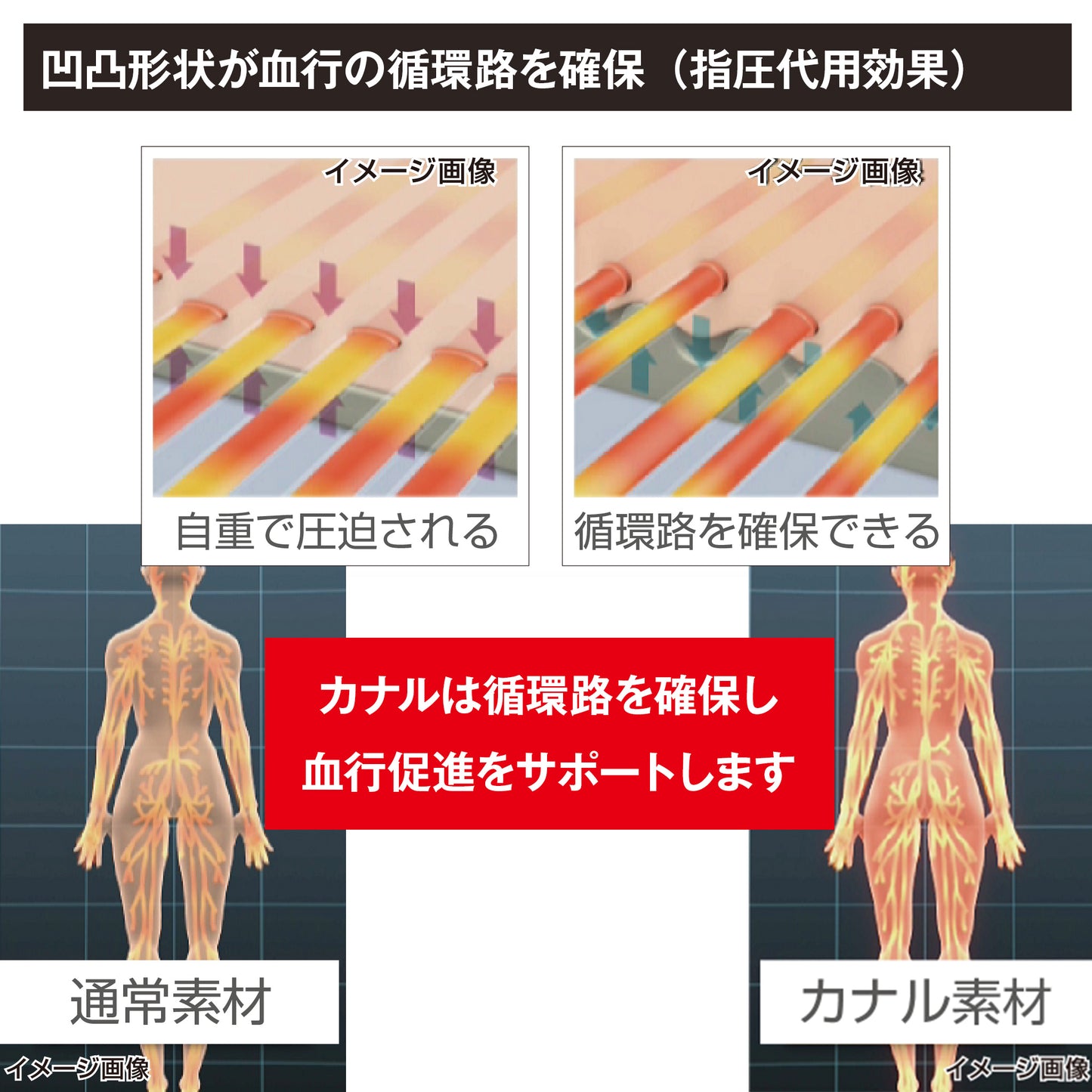 カナルソフトシーネ